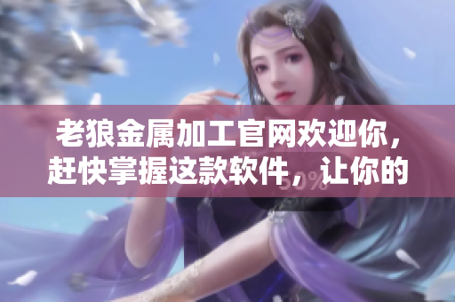 老狼金属加工官网欢迎你，赶快掌握这款软件，让你的加工更顺畅！