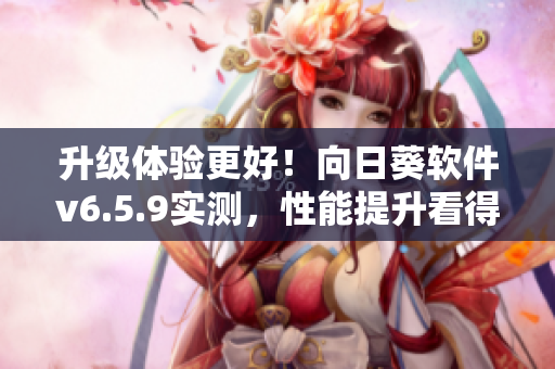 升级体验更好！向日葵软件v6.5.9实测，性能提升看得见！