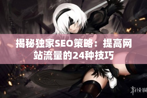 揭秘独家SEO策略：提高网站流量的24种技巧