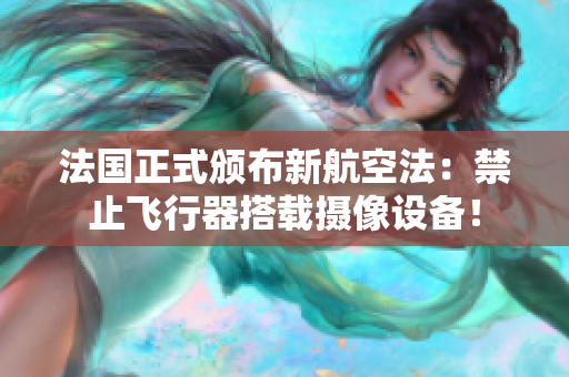 法国正式颁布新航空法：禁止飞行器搭载摄像设备！