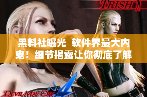 黑料社曝光  软件界最大内鬼！细节揭露让你彻底了解！