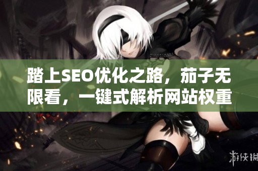 踏上SEO优化之路，茄子无限看，一键式解析网站权重。