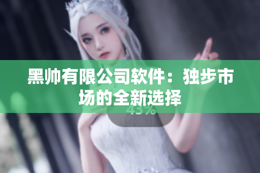 黑帅有限公司软件：独步市场的全新选择