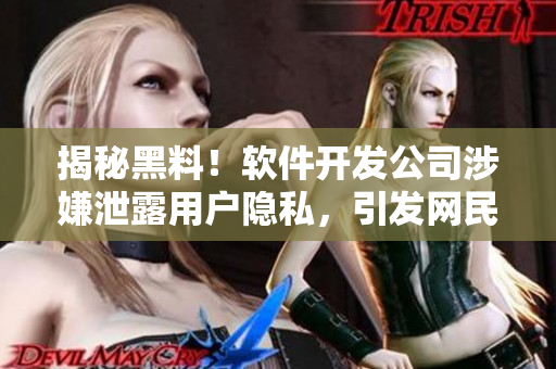 揭秘黑料！软件开发公司涉嫌泄露用户隐私，引发网民热议