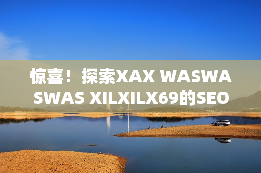 惊喜！探索XAX WASWASWAS XILXILX69的SEO秘密