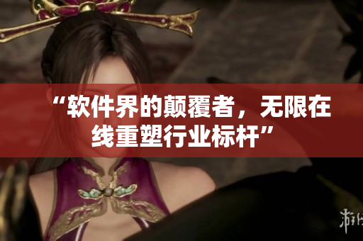 “软件界的颠覆者，无限在线重塑行业标杆”