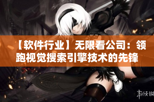 【软件行业】无限看公司：领跑视觉搜索引擎技术的先锋