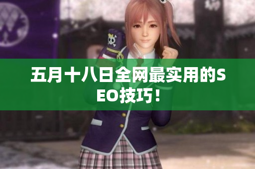 五月十八日全网最实用的SEO技巧！