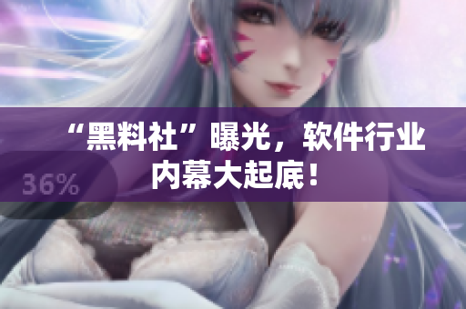 “黑料社”曝光，软件行业内幕大起底！