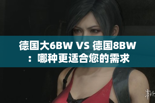 德国大6BW VS 德国8BW：哪种更适合您的需求