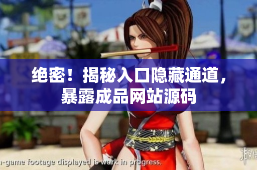 绝密！揭秘入口隐藏通道，暴露成品网站源码