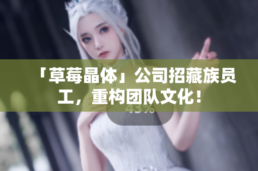 「草莓晶体」公司招藏族员工，重构团队文化！