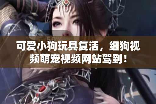 可爱小狗玩具复活，细狗视频萌宠视频网站驾到！