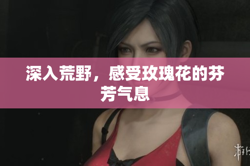 深入荒野，感受玫瑰花的芬芳气息