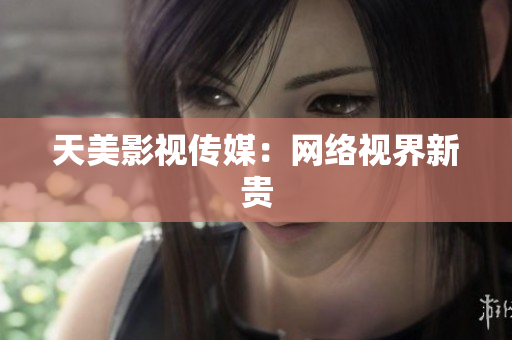天美影视传媒：网络视界新贵