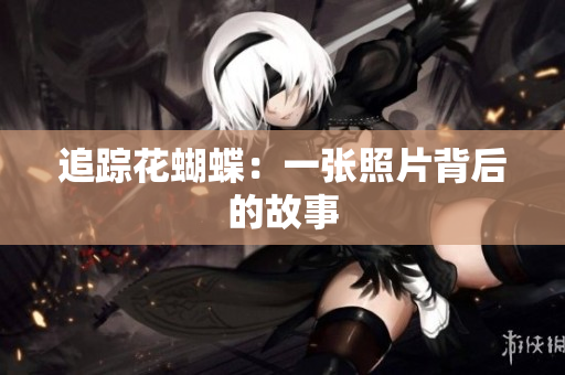 追踪花蝴蝶：一张照片背后的故事