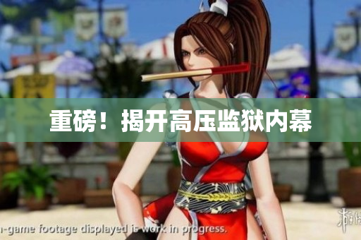 重磅！揭开高压监狱内幕