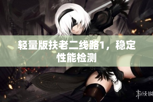 轻量版扶老二线路1，稳定性能检测