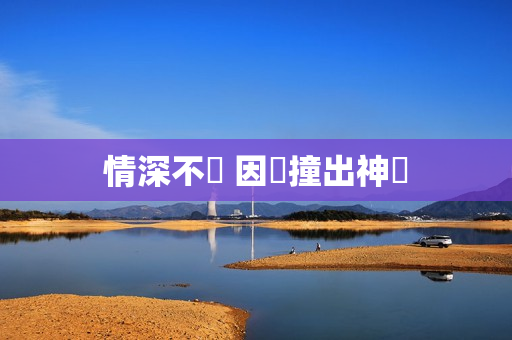 情深不寃 因愛撞出神劍