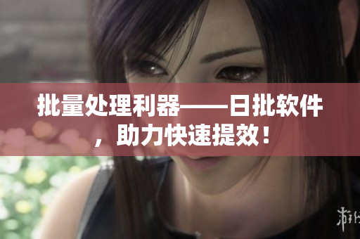 批量处理利器——日批软件，助力快速提效！