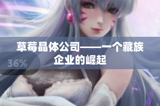 草莓晶体公司——一个藏族企业的崛起