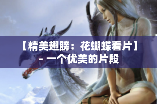 【精美翅膀：花蝴蝶看片】 - 一个优美的片段