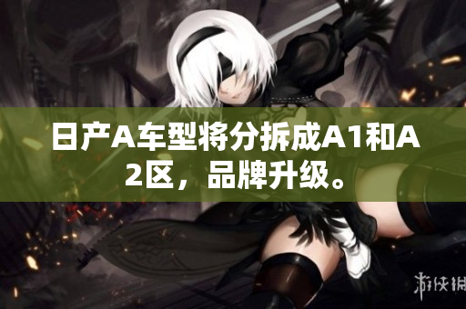 日产A车型将分拆成A1和A2区，品牌升级。