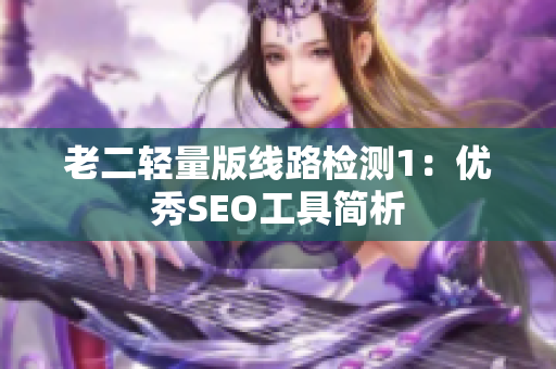 老二轻量版线路检测1：优秀SEO工具简析