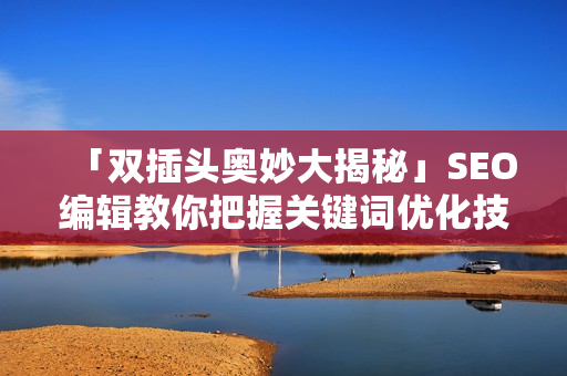 「双插头奥妙大揭秘」SEO编辑教你把握关键词优化技巧