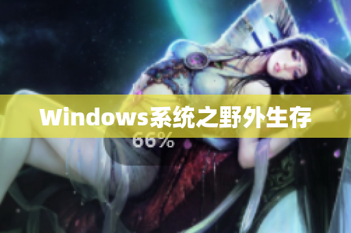Windows系统之野外生存