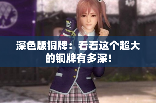 深色版铜牌：看看这个超大的铜牌有多深！