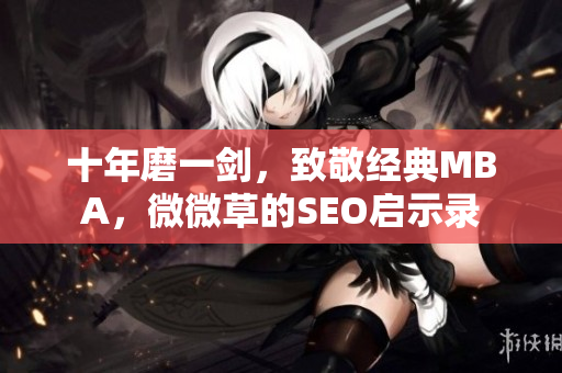 十年磨一剑，致敬经典MBA，微微草的SEO启示录
