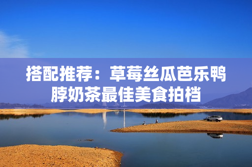 搭配推荐：草莓丝瓜芭乐鸭脖奶茶最佳美食拍档