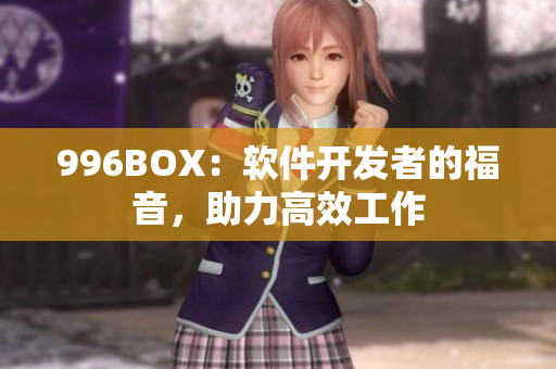 996BOX：软件开发者的福音，助力高效工作