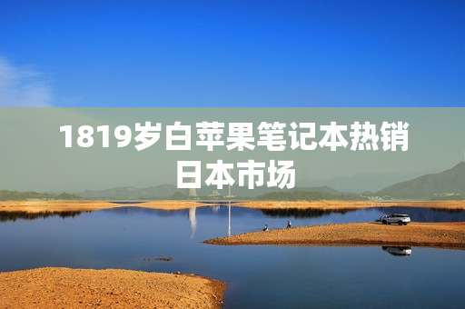 1819岁白苹果笔记本热销日本市场