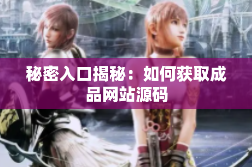 秘密入口揭秘：如何获取成品网站源码