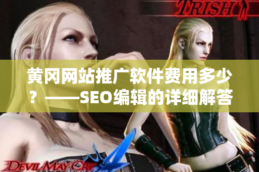 黄冈网站推广软件费用多少？——SEO编辑的详细解答！