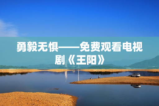 勇毅无惧——免费观看电视剧《王阳》