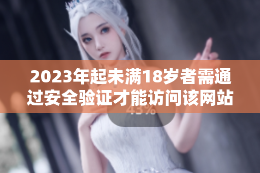 2023年起未满18岁者需通过安全验证才能访问该网站