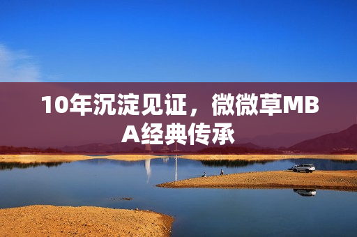 10年沉淀见证，微微草MBA经典传承