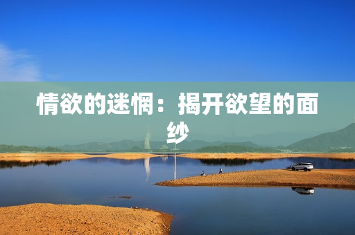 情欲的迷惘：揭开欲望的面纱