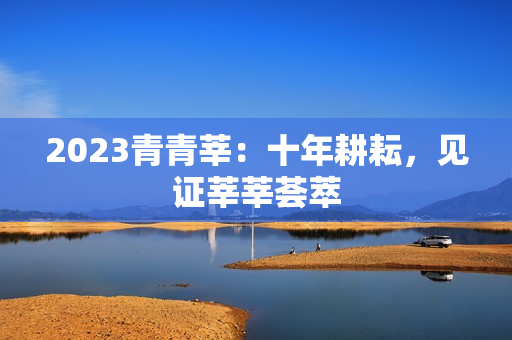 2023青青莘：十年耕耘，见证莘莘荟萃