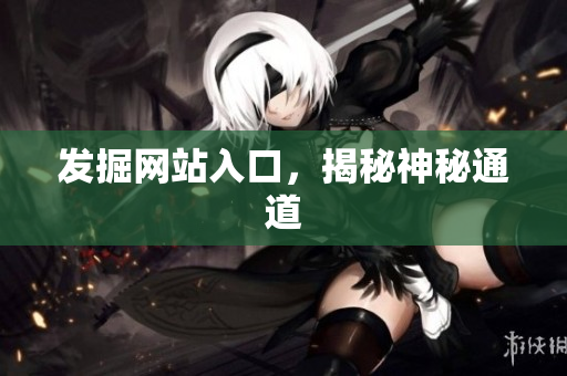 发掘网站入口，揭秘神秘通道