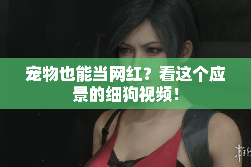 宠物也能当网红？看这个应景的细狗视频！