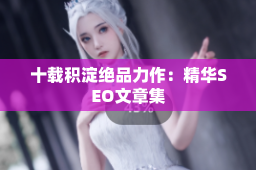 十载积淀绝品力作：精华SEO文章集