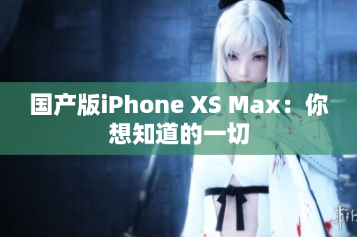 国产版iPhone XS Max：你想知道的一切