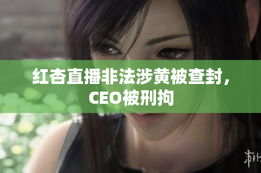 红杏直播非法涉黄被查封，CEO被刑拘