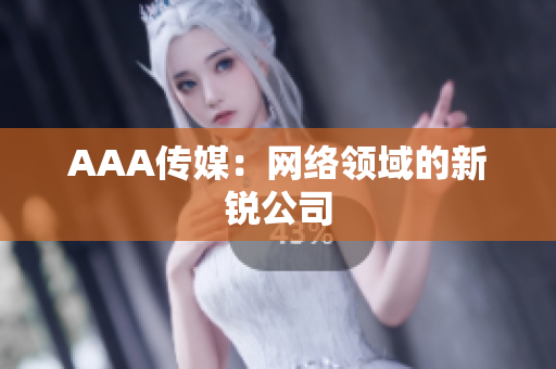 AAA传媒：网络领域的新锐公司