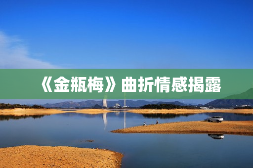 《金瓶梅》曲折情感揭露
