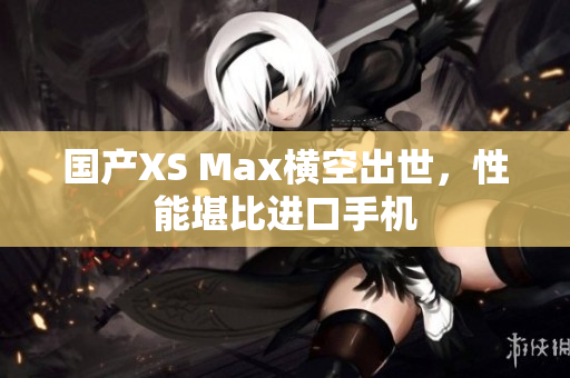 国产XS Max横空出世，性能堪比进口手机